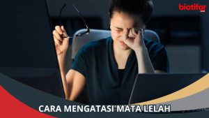 Makanan Yang Memicu Mata Lelah Memahami Dampak Diet Pada Kesehatan Mata Anda