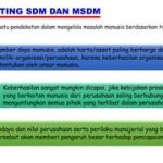 Perbandingan Sdm Yang Paling Menguntungkan Mengoptimalkan Investasi Modal Manusia Untuk Pertumbuhan Bisnis Berkelanjutan