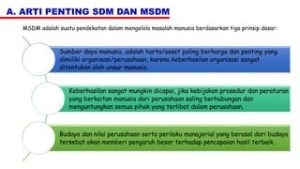 Perbandingan Sdm Yang Paling Menguntungkan Mengoptimalkan Investasi Modal Manusia Untuk Pertumbuhan Bisnis Berkelanjutan